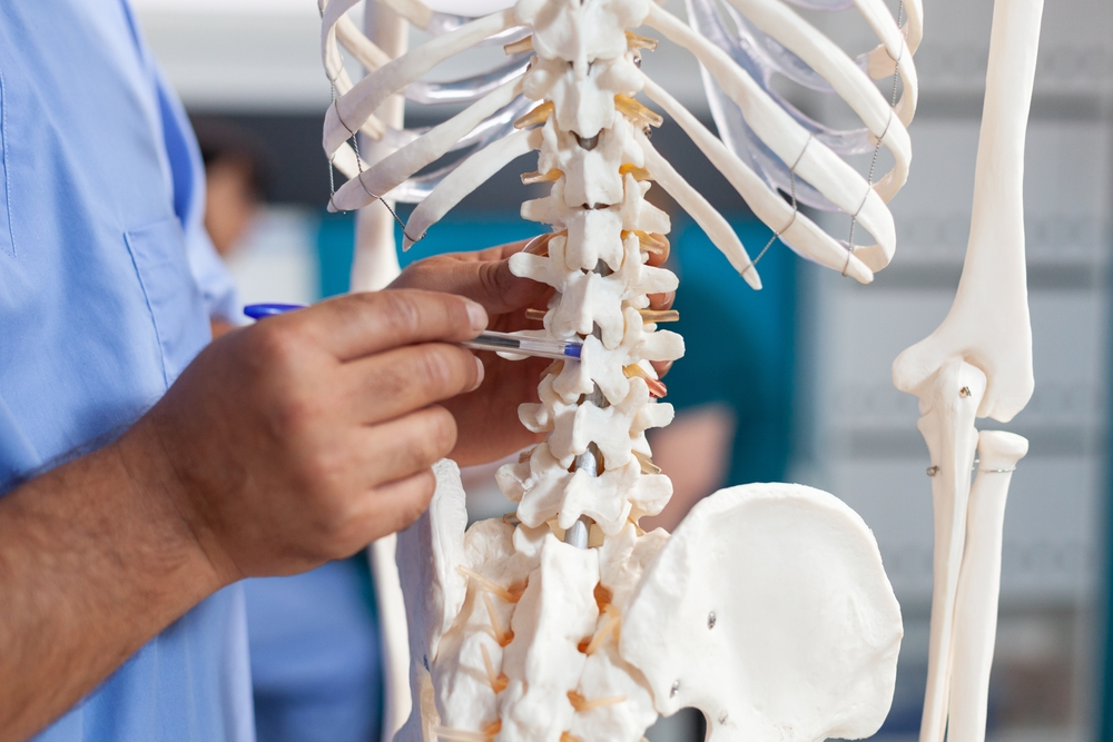 A man examines a human skeleton model while holding a pen, focused on anatomical details.
